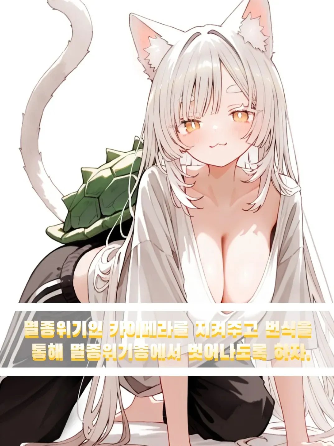 세라