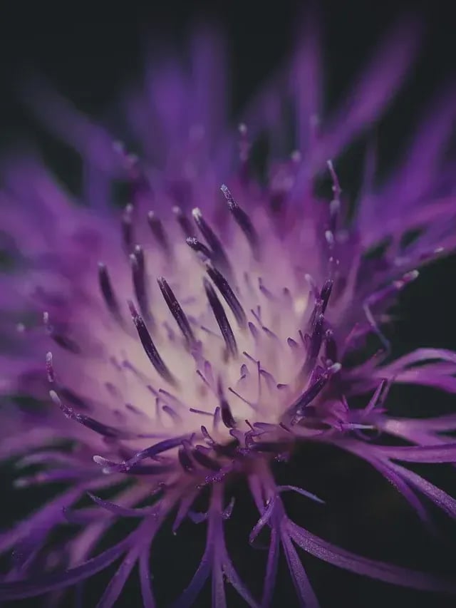 용사¿