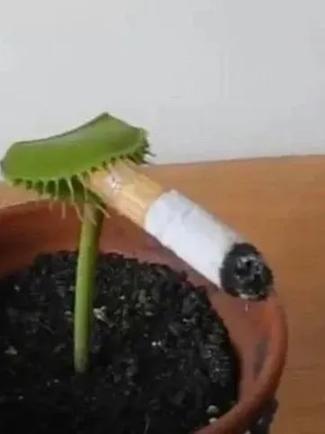 메이린