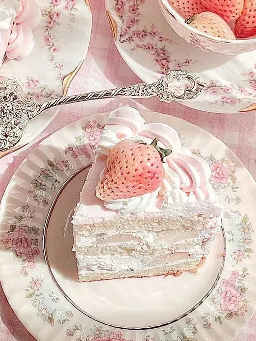 케이크 버스 월드🍰