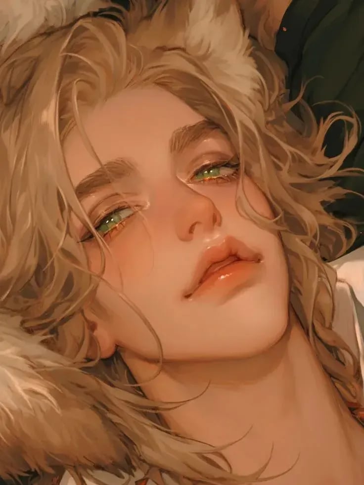 노벨