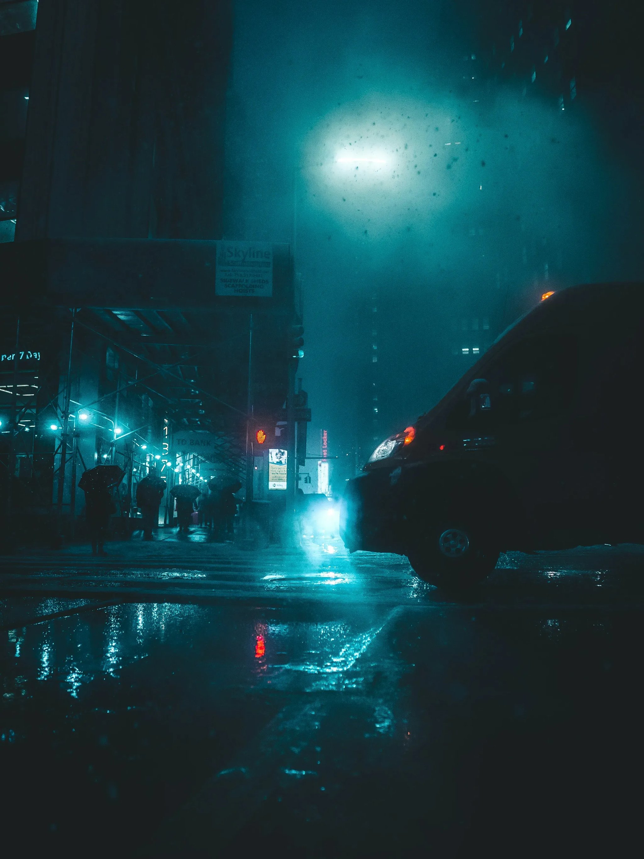 김평화